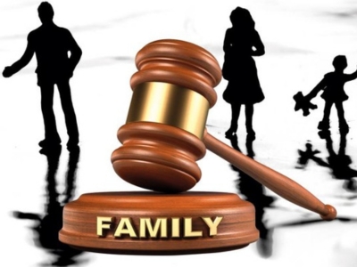 Family Law Investigations: